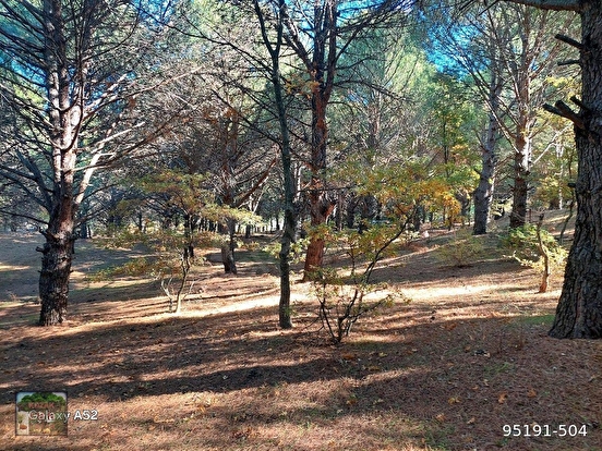 KOZAK YAYLASINDA KARAVELİLER MAH DE 5950 m2 EV İMARLI FISTIKLIK - İZMİR BERGAMA fotoğraf 5