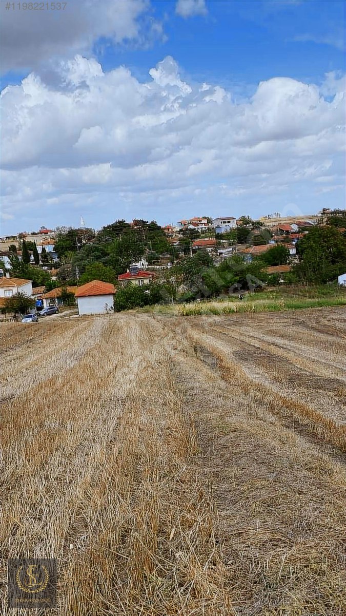 TEKİRDAĞ SARAY GÖÇERLER'DE 319Metre Kaziklari çakilmiş - TEKİRDAĞ SARAY fotoğraf 7