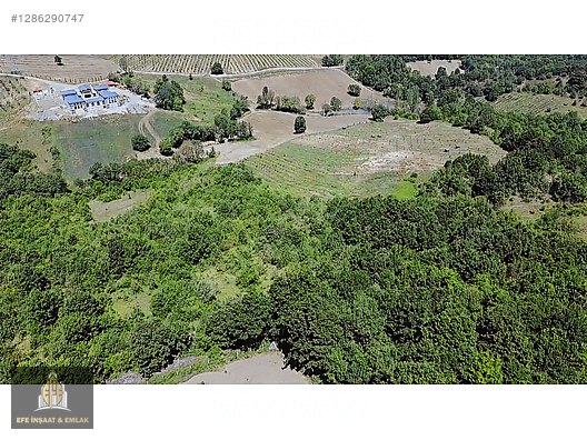 ALTINOVA ÖRENCİKTE 6982 M2 YOLA 66 M YATIRIMA UYGUN MÜSTAKİL - YALOVA ALTINOVA fotoğraf 31