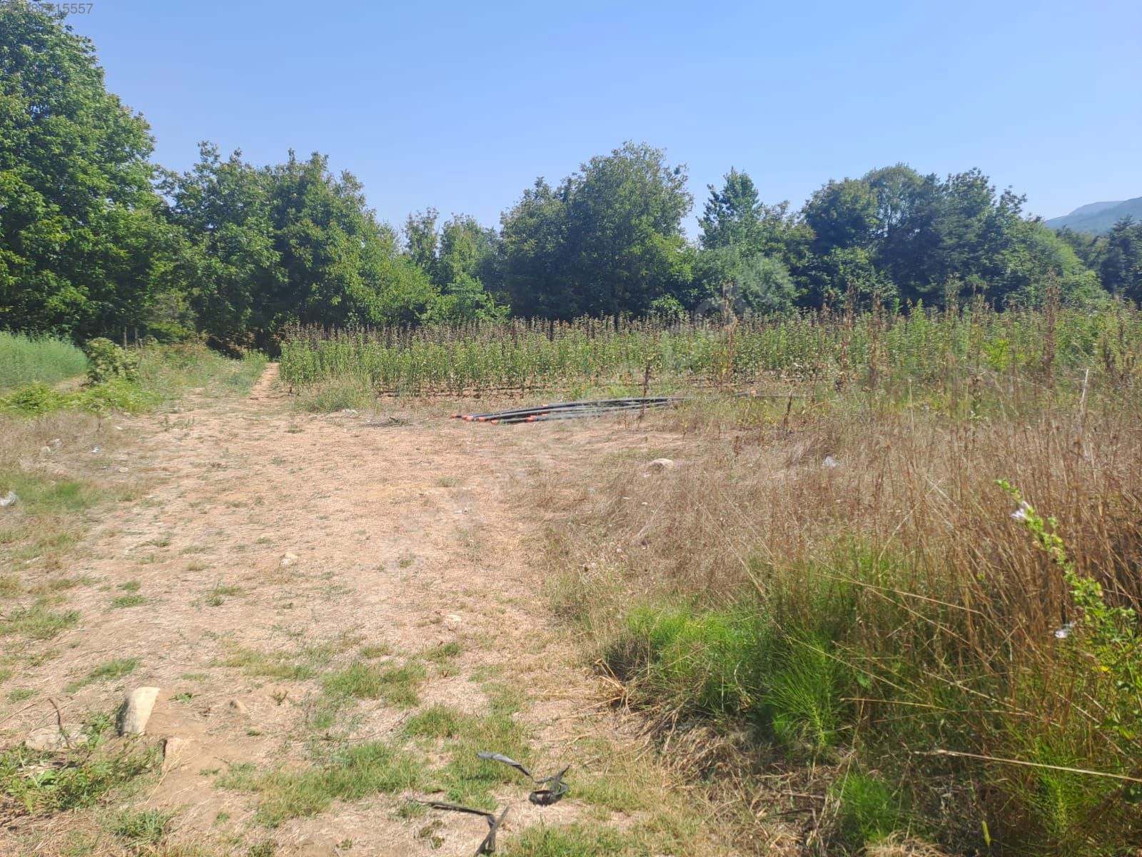 BURSA KESTEL KOZLUÖREN KÖYÜNDE  BAHÇENİN 2.700 M² Sİ SATILIKTIR. - BURSA KESTEL fotoğraf 6