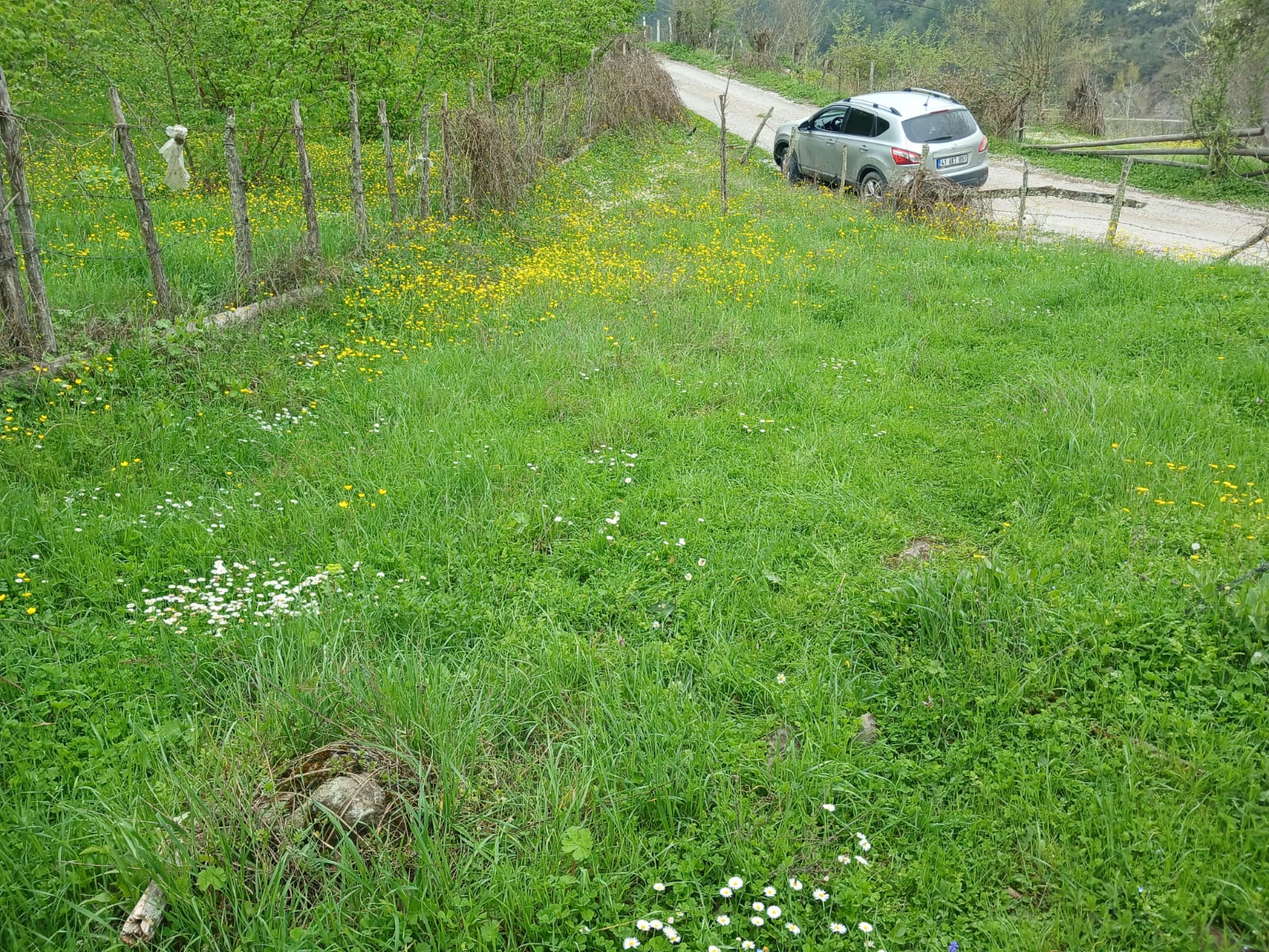 SİNOP DİKMEN AKÇAKESE KÖYÜ 109 M² BAHÇEMİZ SATILIKTIR. - SİNOP DİKMEN fotoğraf 5