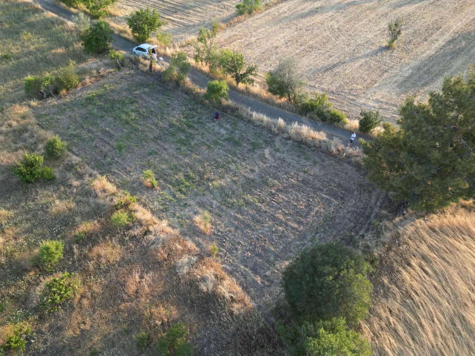 DENİZLİ ACIPAYAM YEŞİLYUVA KÖYÜNDE   804 M²  BAĞ SATILIKTIR - DENİZLİ ACIPAYAM fotoğraf 10