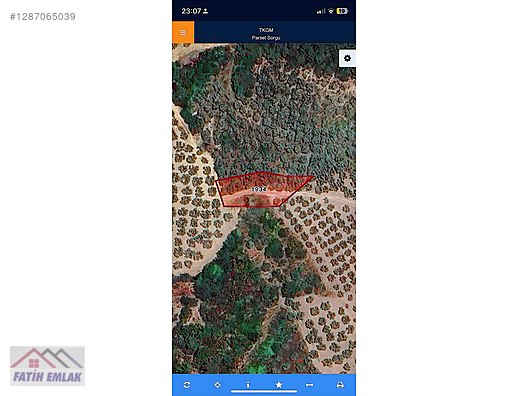Fatih'ten muratoba da 607m2 yolu olan zeytinlik - BURSA GEMLİK fotoğraf 6