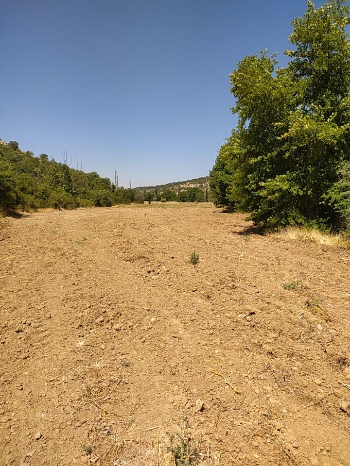 🌿 DİKEN ÇAYINA VE KÖY YOLUNA CEPHELİ – KARABEYLİ / MERKEZ /UŞAK - UŞAK MERKEZ fotoğraf 6