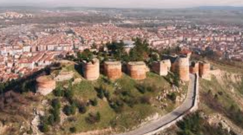 KÜTAHYA DOMANİÇ SARIOT KÖYÜ’NDE 3.030 M²  TARLA SATILIKTIR - KÜTAHYA DOMANİÇ fotoğraf 8