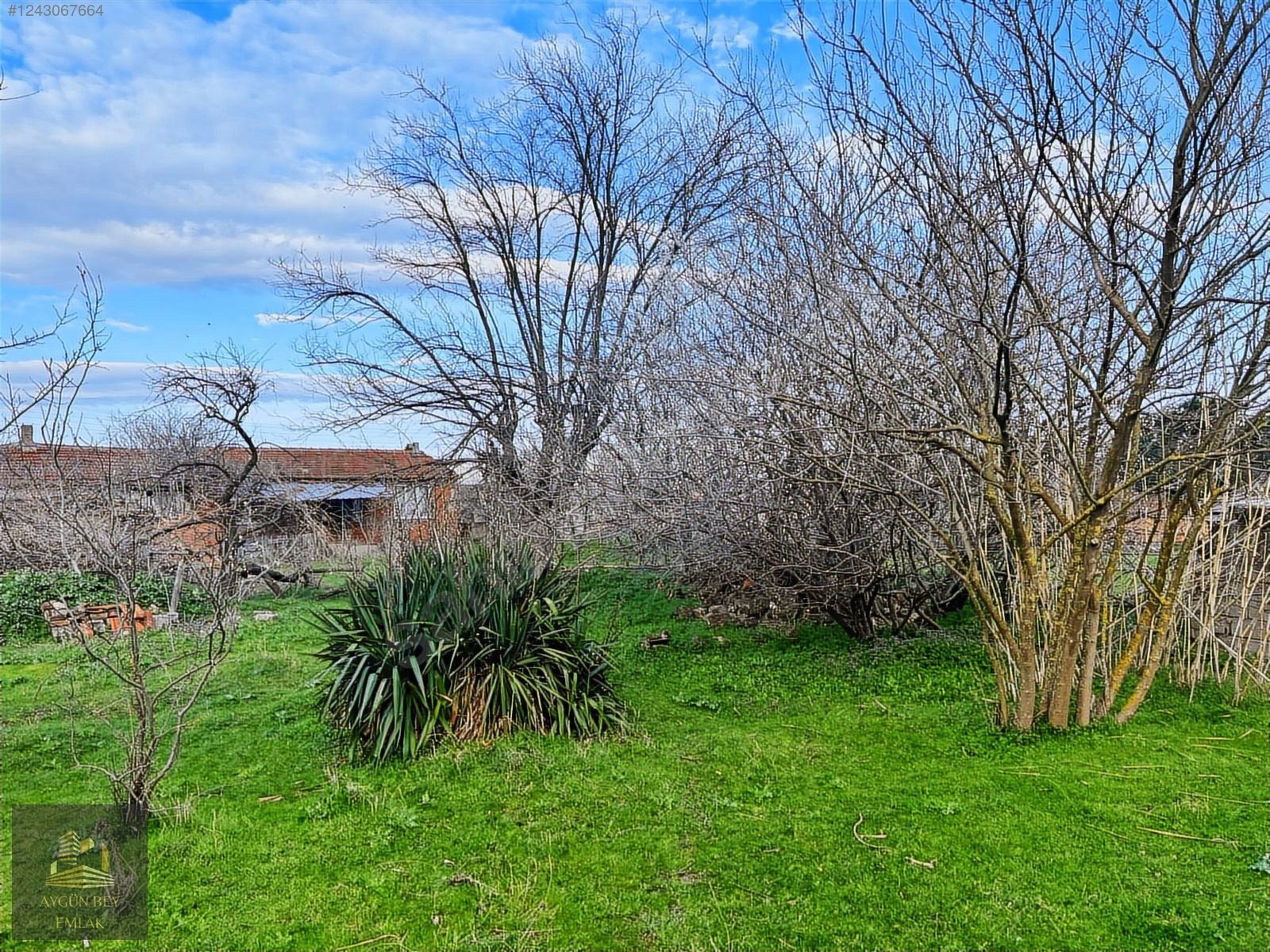 Bursada 2 Adet Müstakil Ev & 1.041 m² Arazi Yenilemeye ve - BURSA MUSTAFAKEMALPAŞA fotoğraf 9