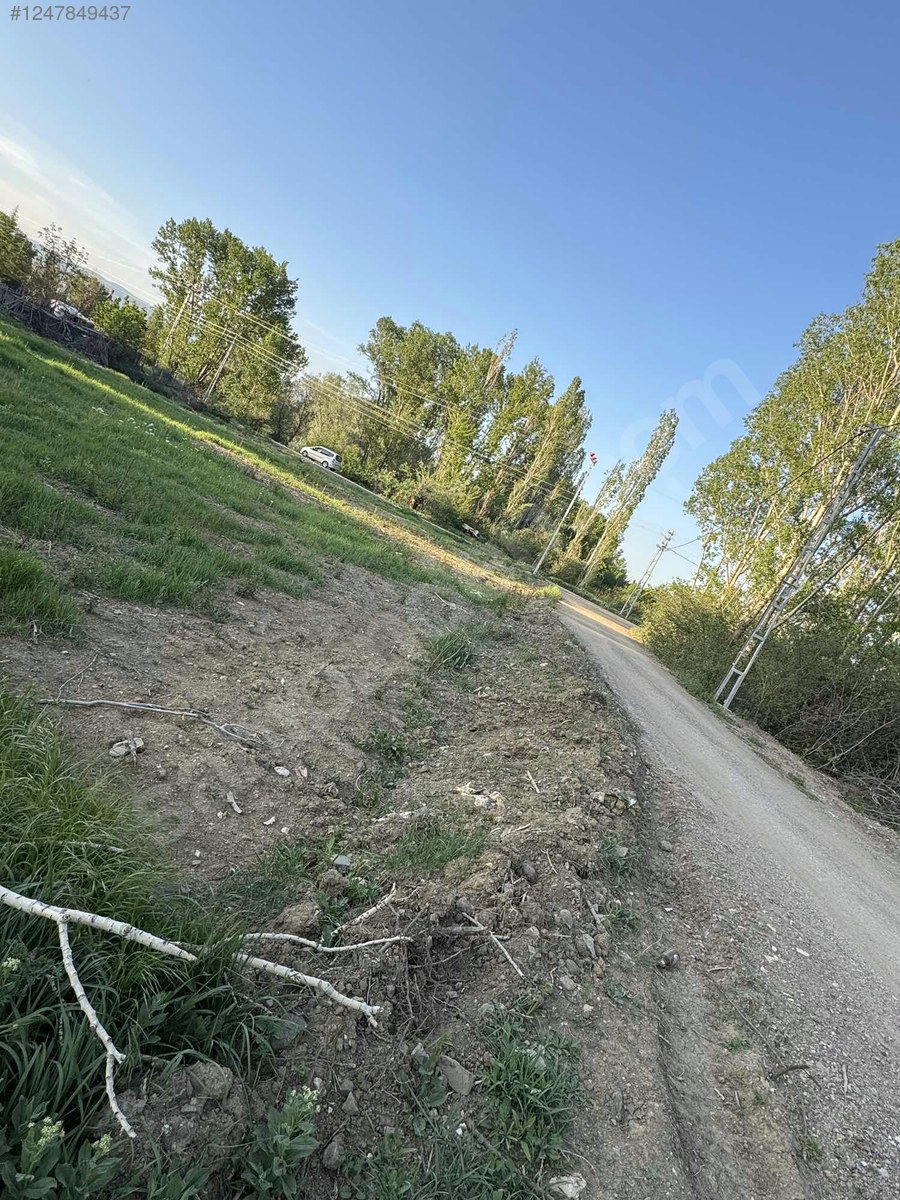 ANKARA ELMADAĞ TATLICA KÖYÜNDE 2.072 M² BAĞIMIZ  SATILIKTIR - ANKARA ELMADAĞ fotoğraf 11