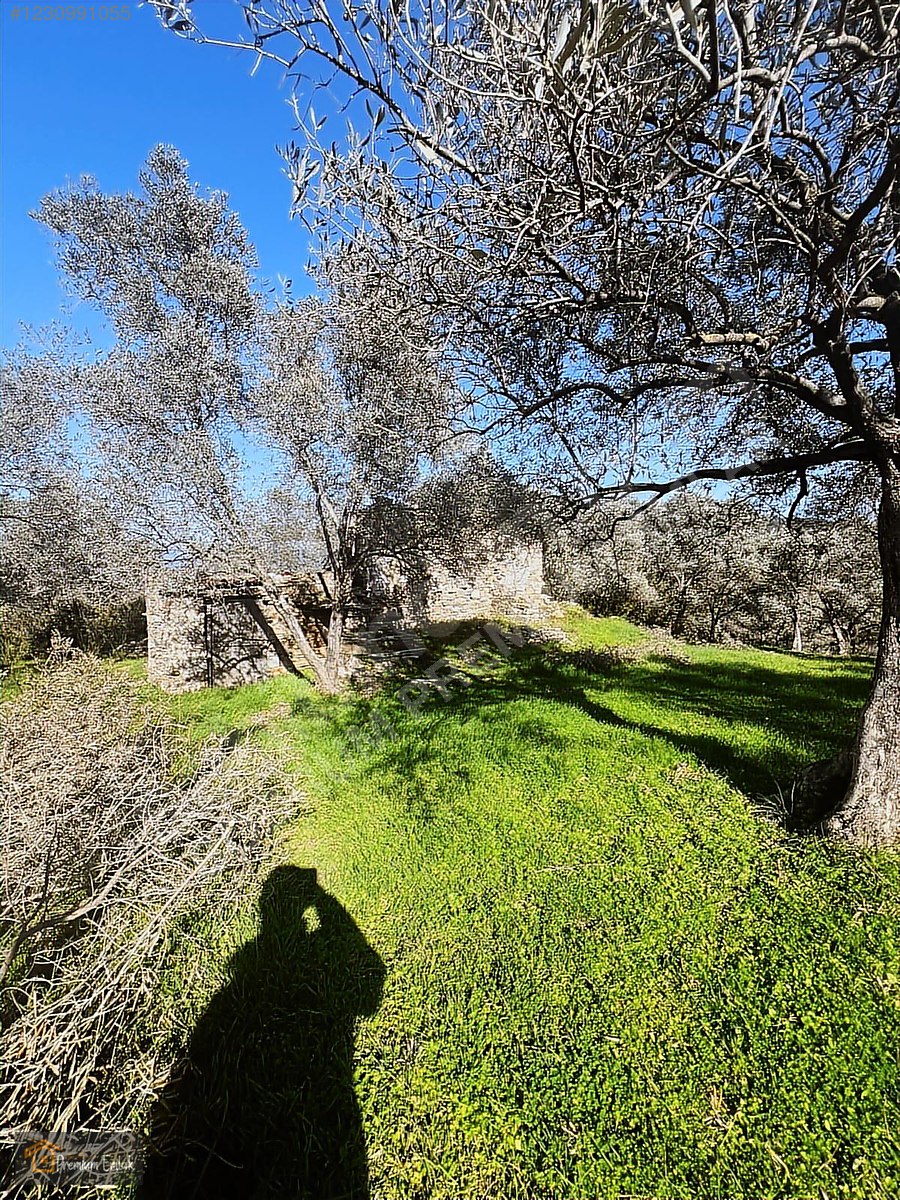 MİLAS KARACAHİSARDA KÖY İÇİ KAĞİR EV VE 980 M2 ARSASI - MUĞLA MİLAS fotoğraf 11