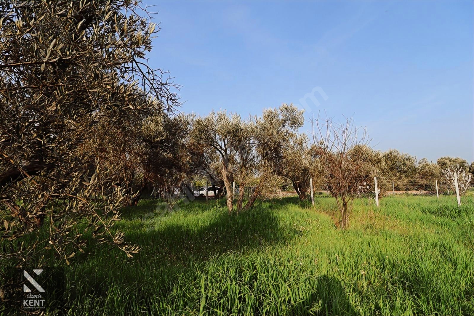 Kemalpaşa Sekiz Eylül Satılık 4.746 m2 Bahçe - İZMİR KEMALPAŞA fotoğraf 5