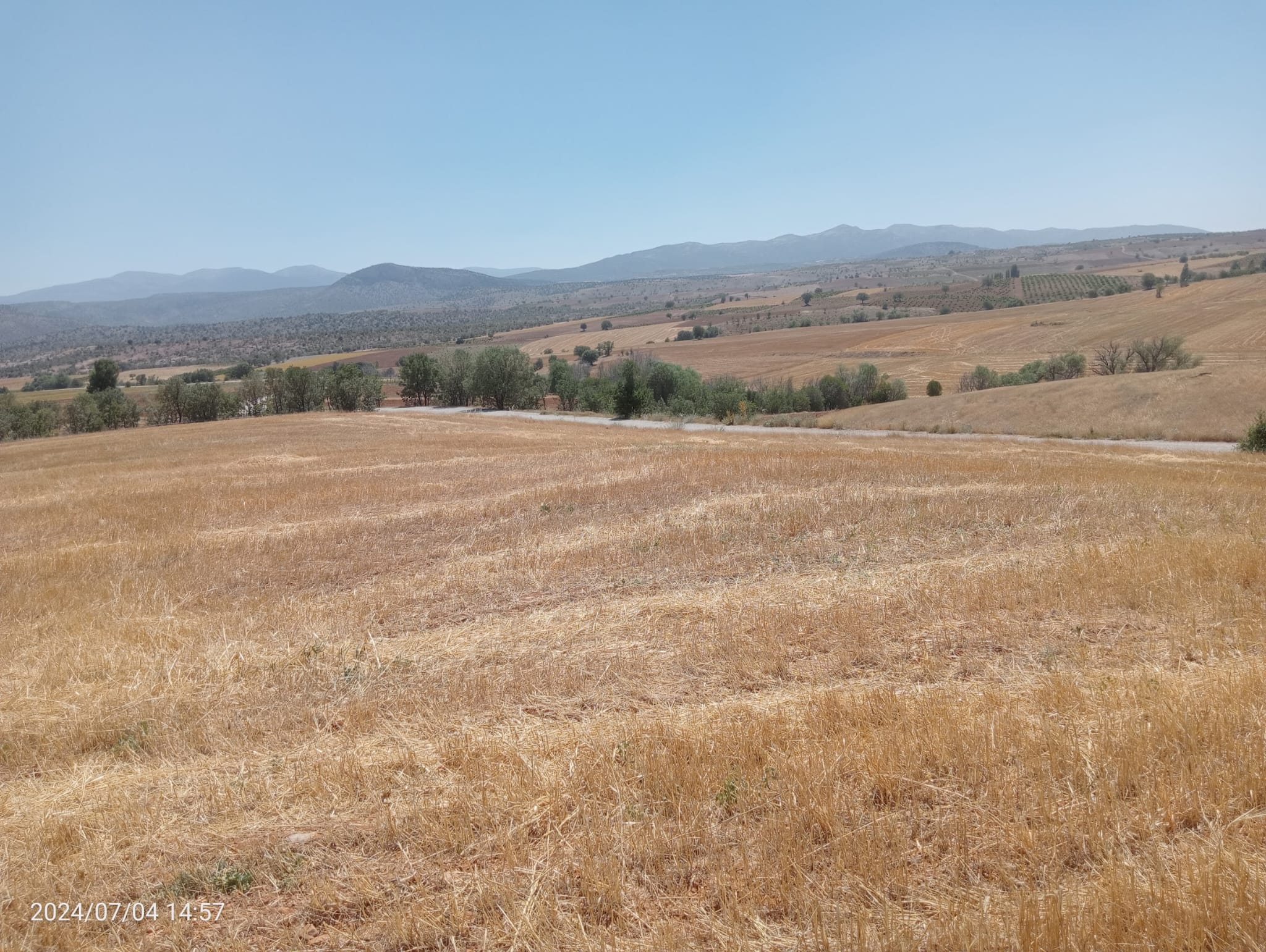    KARAMAN MERKEZ MURATDEDE  KÖYÜNDE 2.927  M²  TARLA  SATILIKTIR - KARAMAN MERKEZ fotoğraf 14