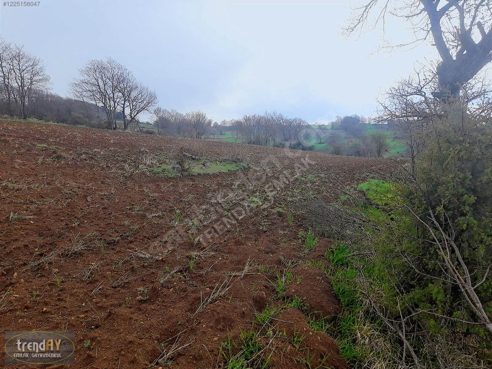 Dübekli Köyü'nde 10.570 m² Kadastral Yola Cepheli Tarlalar - BİLECİK BOZÜYÜK fotoğraf 19