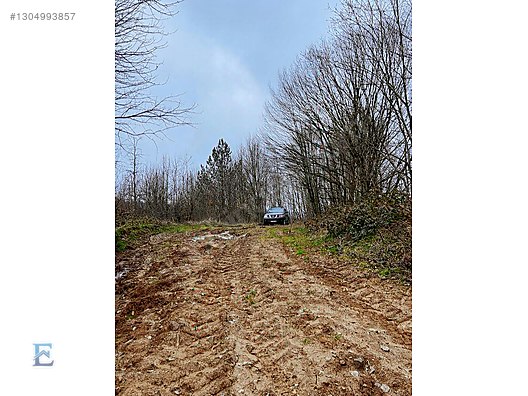 Gölcük İrşadiyede Eriklitepe Yatırımlık Arsa - KOCAELİ GÖLCÜK fotoğraf 16