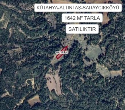 KÜTAHYA ALTINTAŞ SARAYCIK KÖYÜ’NDE 1642 M² TARLA SATILIKTIR - KÜTAHYA ALTINTAŞ fotoğraf 2