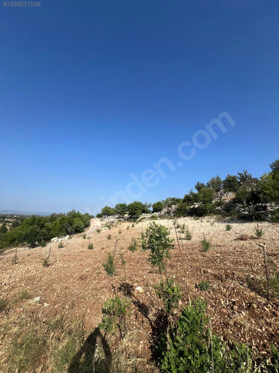   Mersin / Gülnar / Göktürk Mh. 1295 M² BADEM BAHÇESİ SATILIKTIR.   - MERSİN GÜLNAR fotoğraf 8