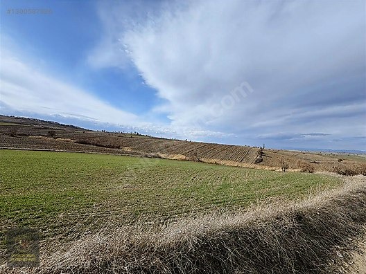 SAMSUN HAVZA KOCAPINAR'DA 4.754 M2 UYGUN ARSA - SAMSUN HAVZA fotoğraf 7
