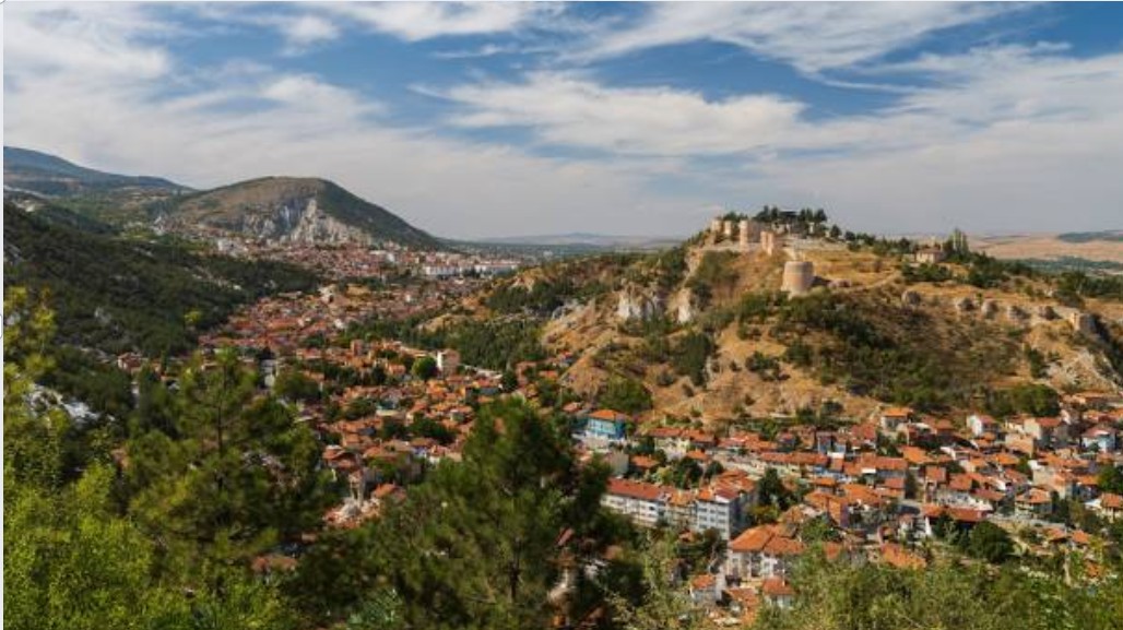 KÜTAHYA GEDİZ E.GEDİZ 883 M² TARLA SATILIKTIR - KÜTAHYA GEDİZ fotoğraf 9