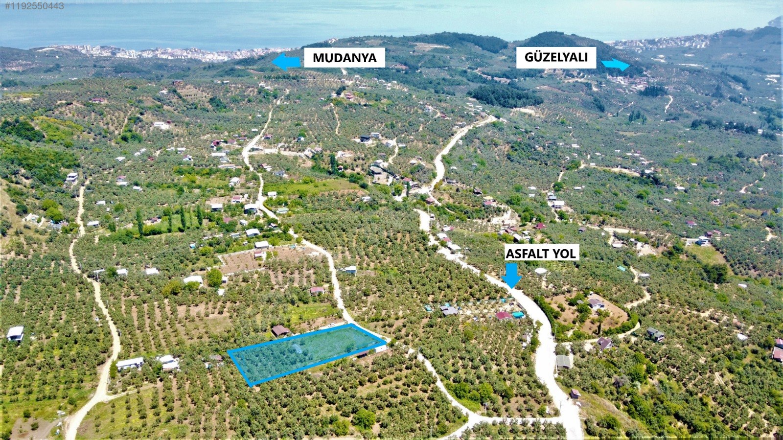 BURSA MUDANYA ÇEPNİ KÖYÜNDE 2.110 M² ZEYTİNLİK SATILIKTIR. - BURSA MUDANYA fotoğraf 14