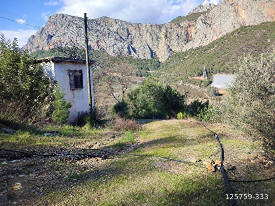 ANAMUR KORUCUKTA MÜSTAKİL SATILIK ZEYTİN VE AVOKADO BAHÇESİ - MERSİN ANAMUR fotoğraf 8