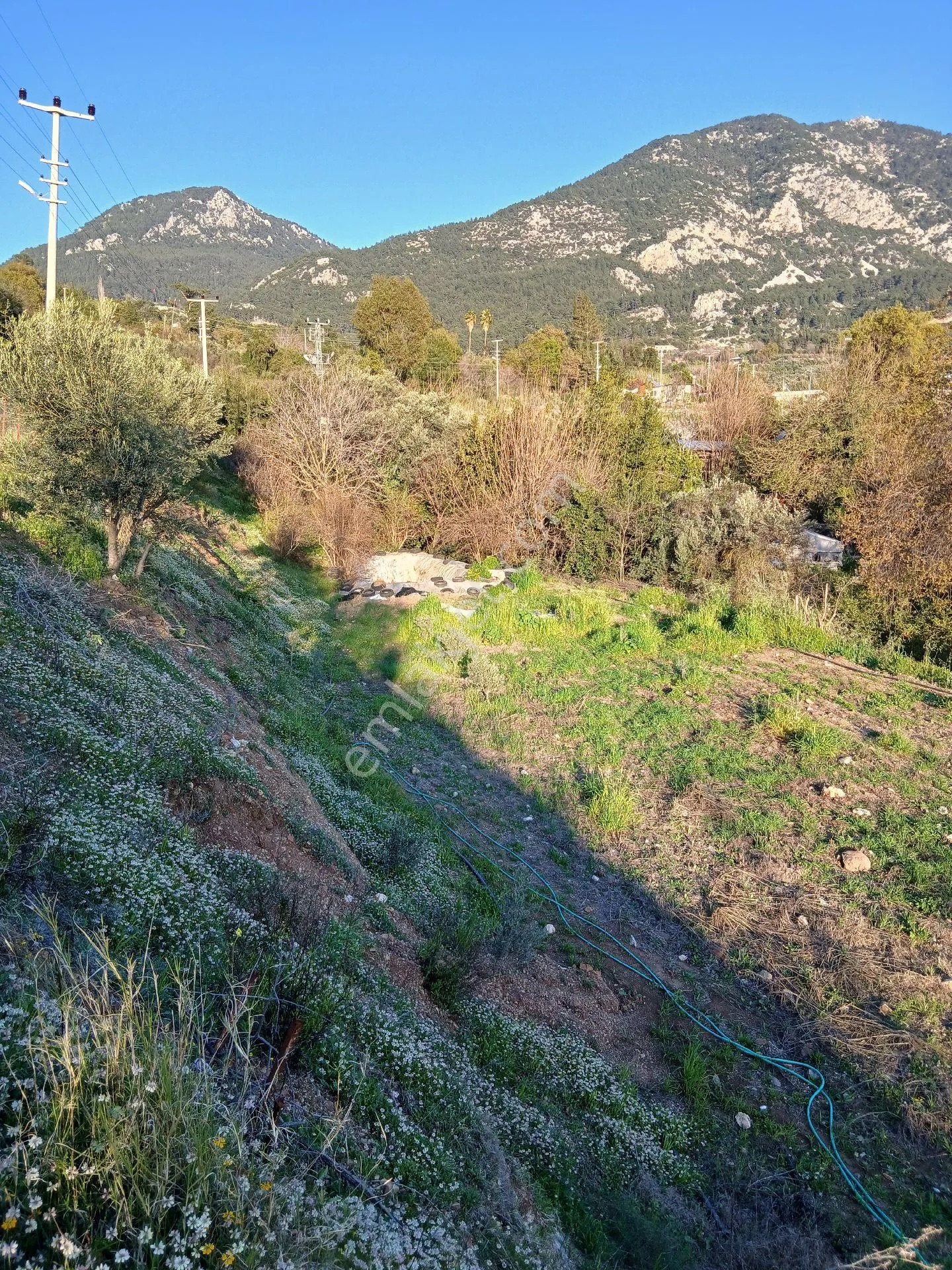 Erentepe Mahallesi Satılık Bahçe - ANTALYA KUMLUCA fotoğraf 6