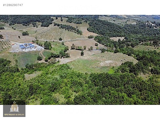 ALTINOVA ÖRENCİKTE 6982 M2 YOLA 66 M YATIRIMA UYGUN MÜSTAKİL - YALOVA ALTINOVA fotoğraf 5