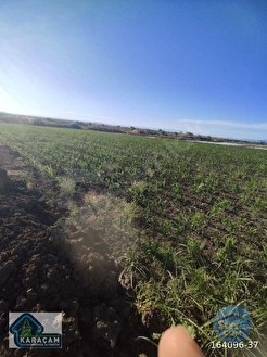 Çanakkale Biga Gerlengeç Köyünde Satılık Tarla - ÇANAKKALE BİGA fotoğraf 19