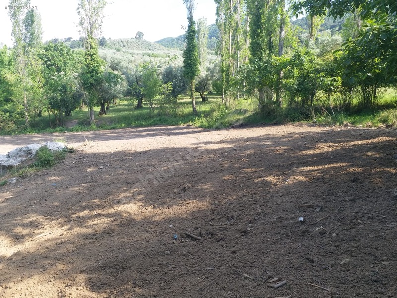 BURSA İZNİK MÜŞKÜLE  KÖYÜNDE 1.209 M² ZEYTİNLİK SATILIKTIR - BURSA İZNİK fotoğraf 14