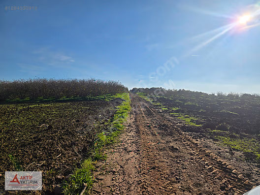 SAKARYA KAYNARCA CEBEK 2786 M2 KARE ORMANA CEPHELİ RESMİ YOLLU - SAKARYA KAYNARCA fotoğraf 6