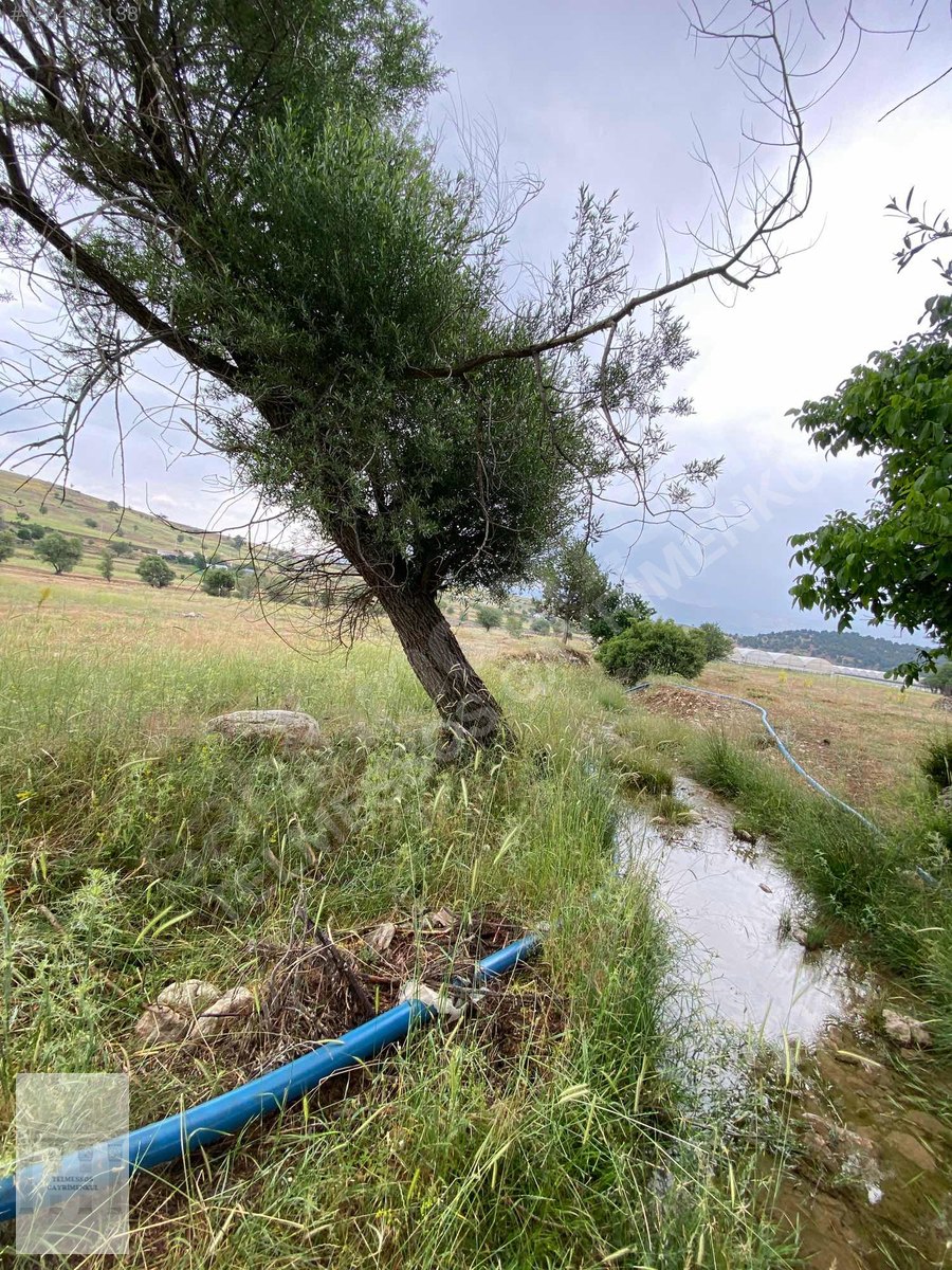 Yayla karaçulhada yatırımlık arazi - MUĞLA SEYDİKEMER fotoğraf 2