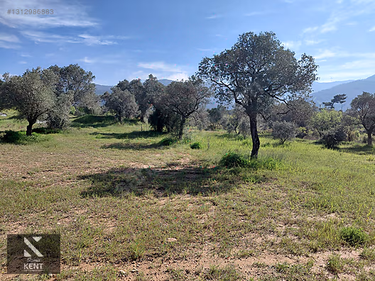 Kemalpaşa Dereköy'de Satılık 4850 m2 Bahçe - İZMİR KEMALPAŞA fotoğraf 7