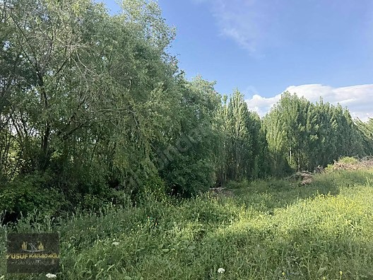 YAZIHAN KÖMÜŞHANDA ACİL SATILIK SULU TARLA - MALATYA YAZIHAN fotoğraf 10