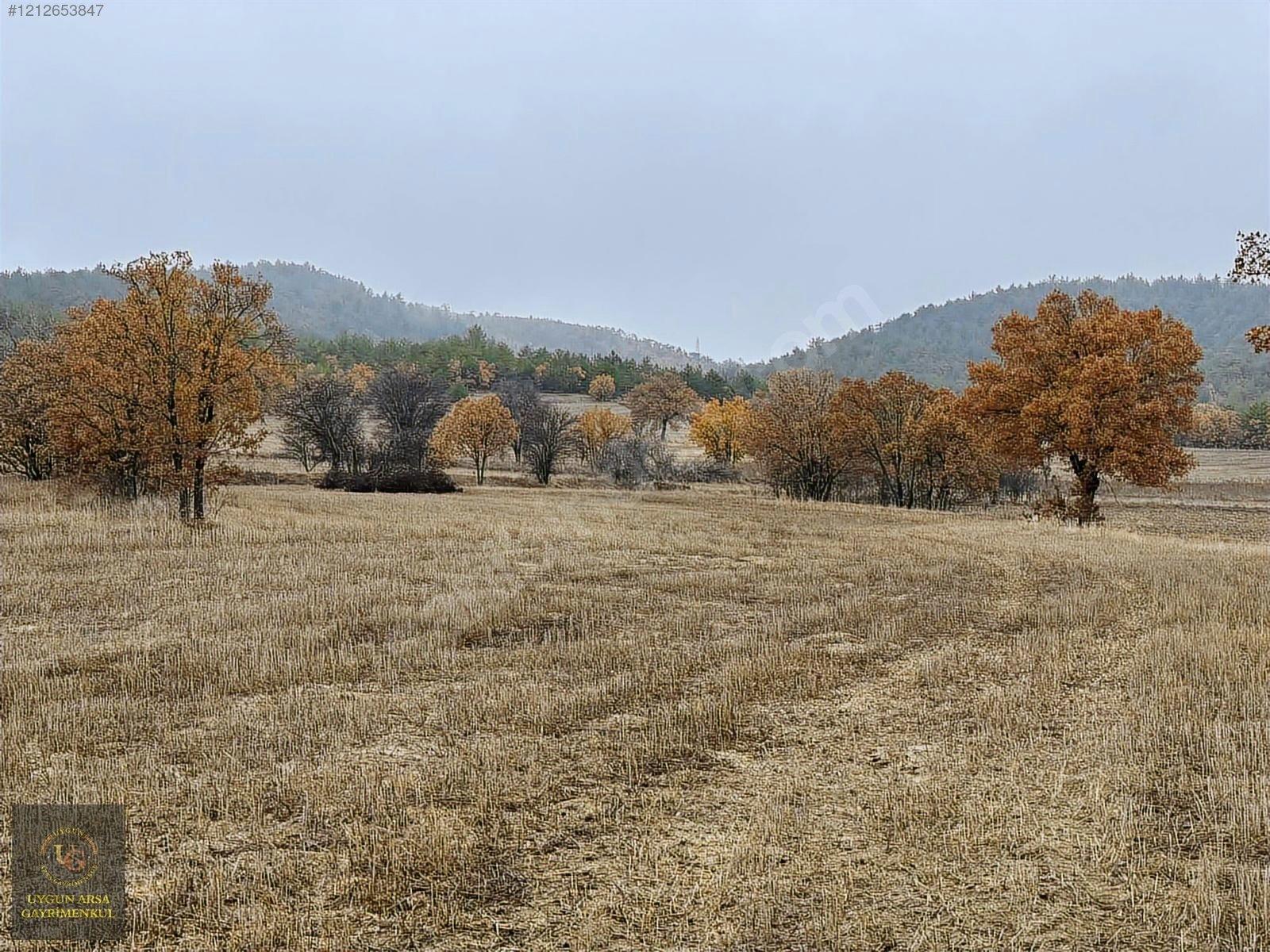 BOLU GÖYNÜK KARAARDIÇ'TA 4.921 M2 UYGUN ARSA - BOLU GÖYNÜK fotoğraf 10