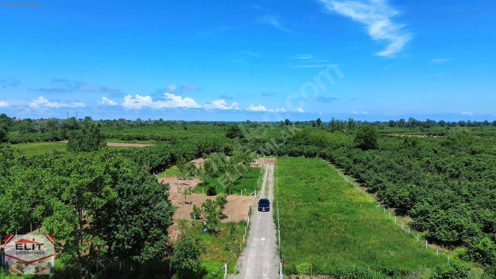 KARASU KUYUMCULUDA SATILIK 463 M2 FIRSAT ARSA - SAKARYA KARASU fotoğraf 33