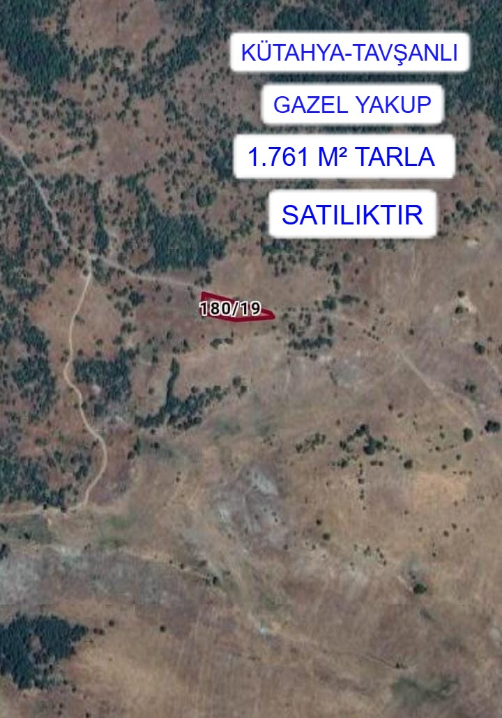 KÜTAHYA TAVŞANLI GAZELYAKUP MAH.1.761M² TARLA SATILIKTIR. - KÜTAHYA TAVŞANLI fotoğraf 6