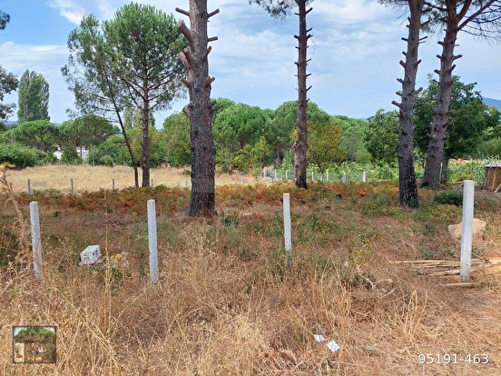 BERGAMA KOZAK YUKARIBEY MAH DE 4750 M2 BAĞ - İZMİR BERGAMA fotoğraf 6