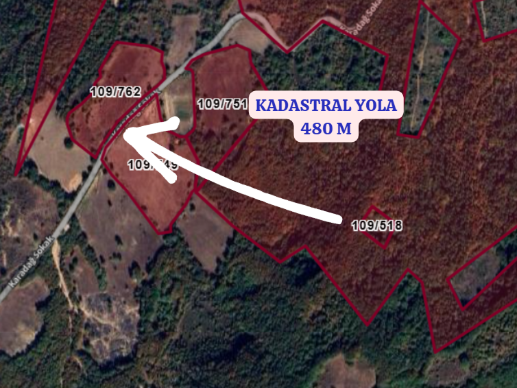 BALIKESİR BALYA GÖLOBA  KÖYÜNDE 2.681 M² TARLA SATILIKTIR - BALIKESİR BALYA fotoğraf 3