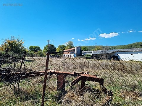 Cadde Emlaktan asfaltın kenarında satılık arsa ve tavuk çiftliği - KARABÜK ESKİPAZAR fotoğraf 15
