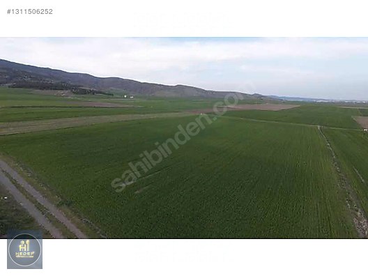 AHIL İÇİN SATILIK TARLA - AMASYA MERZİFON fotoğraf 2