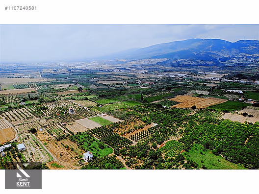 Kemalpaşa Aşağıkızılca Satılık Bahçe 1.200 m2 Tek Tapu - İZMİR KEMALPAŞA fotoğraf 24