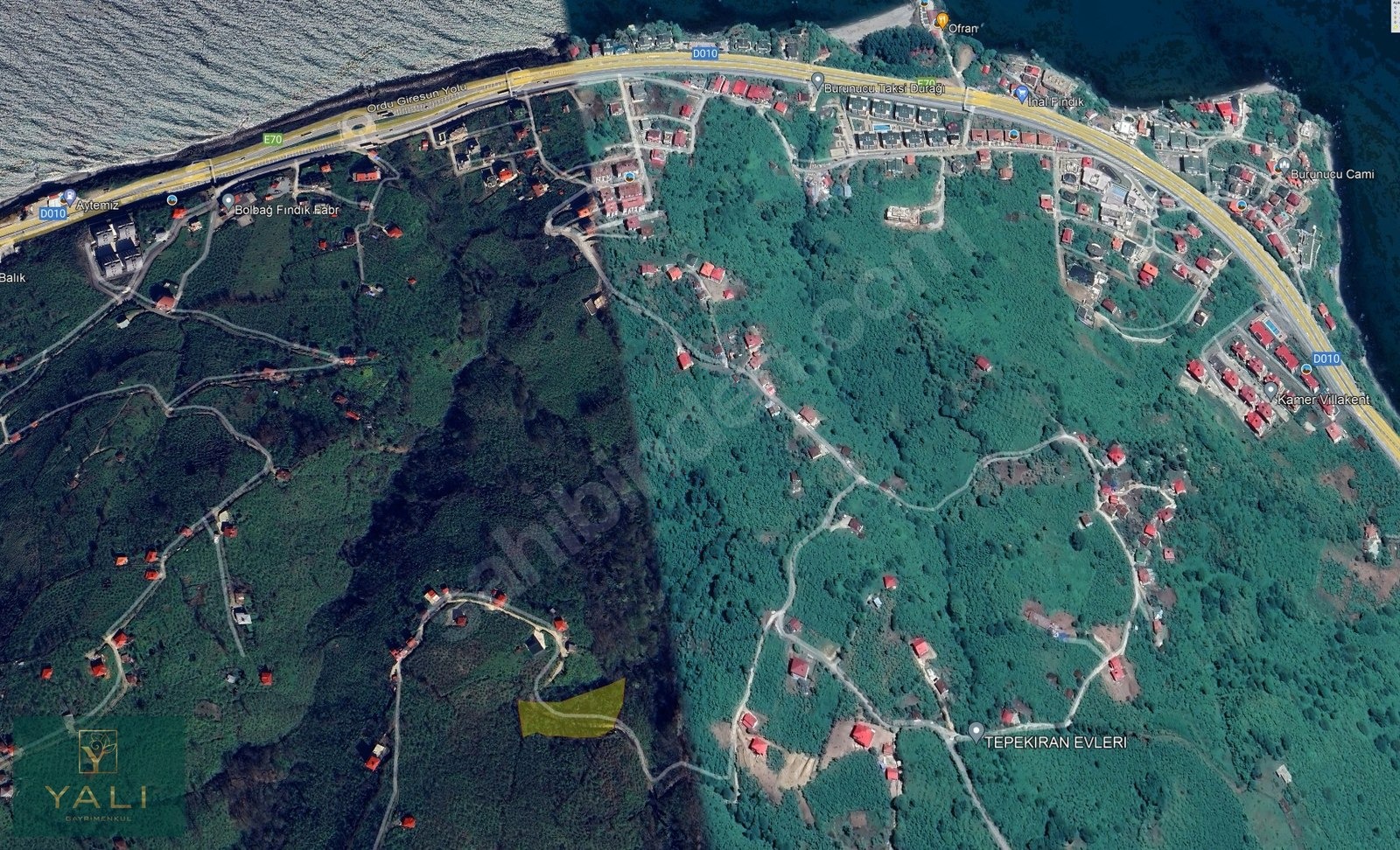 YALI GAYRİMENKUL | BURUNUCU/TALİPLİ'DE SATILIK 4'DÖNÜM ARSA - GİRESUN BULANCAK fotoğraf 13