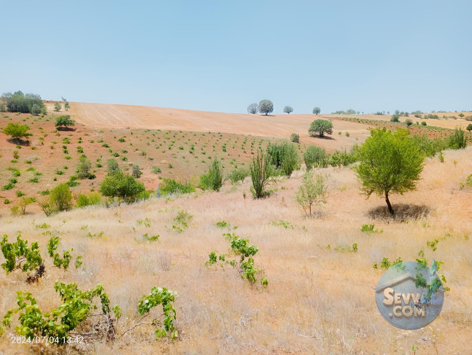 KARAMAN MERKEZ MURATDEDE KÖYÜNDE 3.472 M² BAĞ SATILIKTIR - Karaman Merkez fotoğraf 7