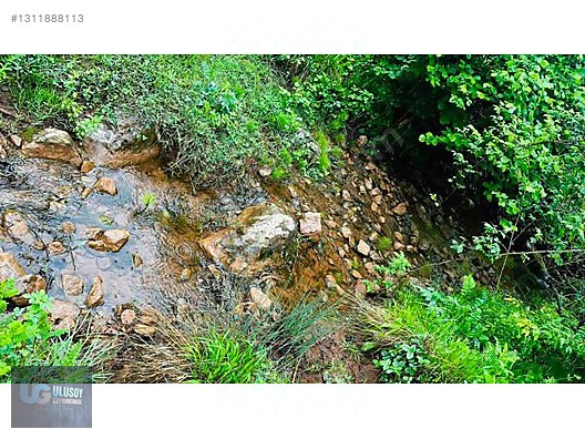 14 DÖNÜM TEK TAPU - BARTIN MERKEZ fotoğraf 6
