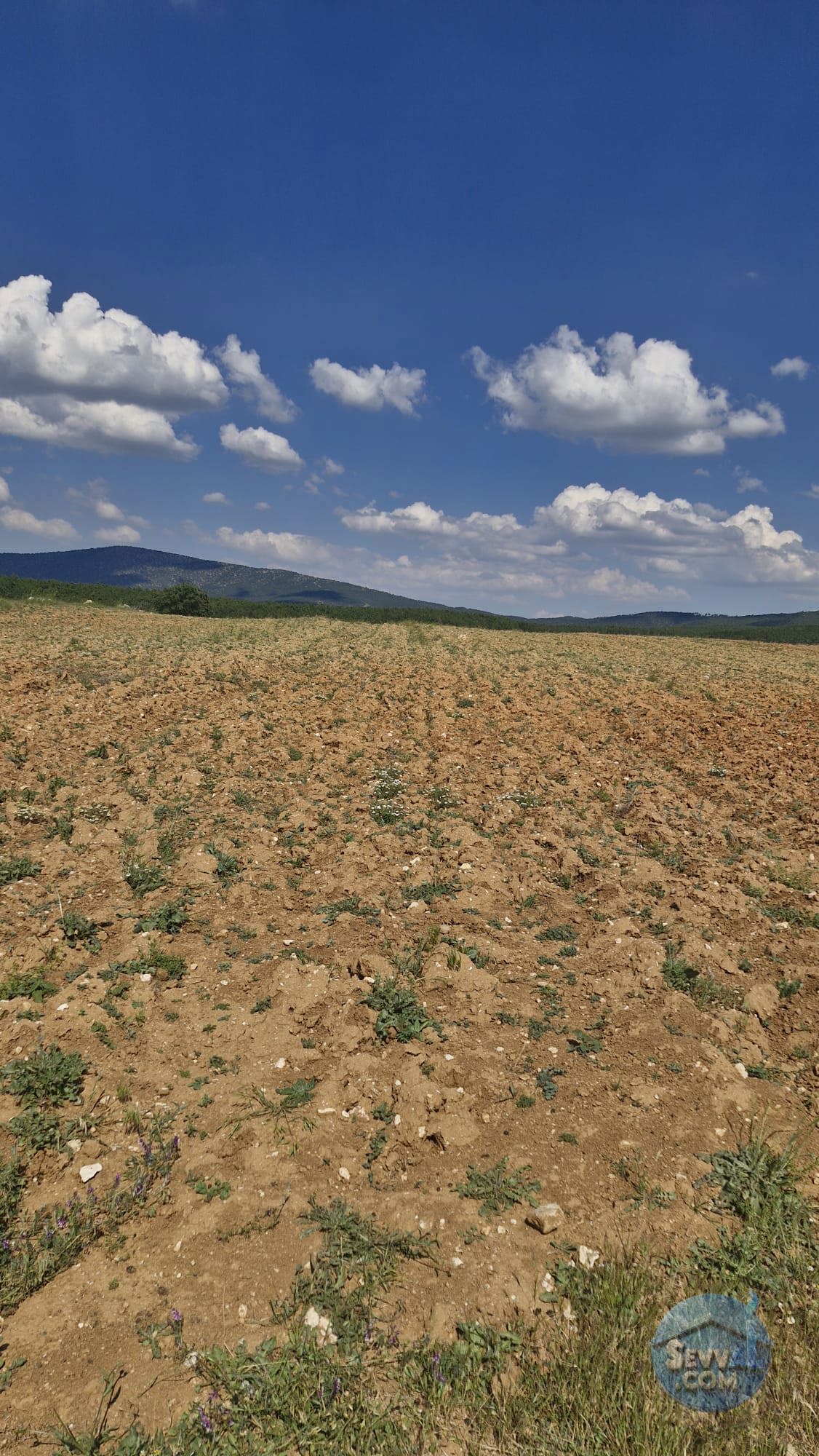KÜTAHYA ÇAVDARHİSAR YENİCEARMUTCUK  KÖYÜNDE  3.115  M²  TARLA  SATILIKTIR - KÜTAHYA ÇAVDARHİSAR fotoğraf 14