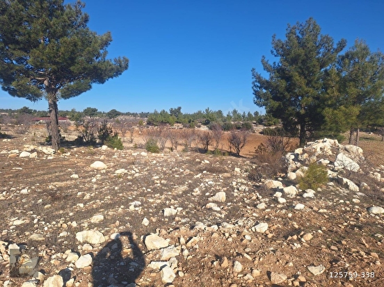 GÜLNAR SARAY MAHALLESİNDE SATILIK 10500 M2 TARLA - MERSİN GÜLNAR fotoğraf 12