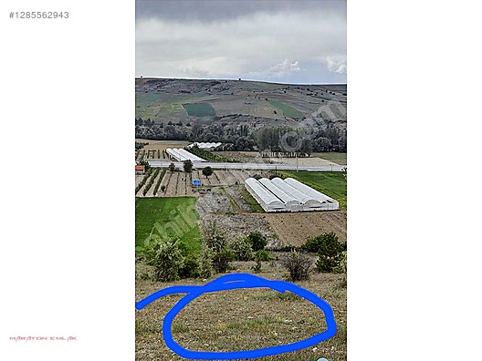 ISPARTA YALVAÇ ÇETİNCEDE 13500 M2 İÇİNDE 100 KADAR YETİŞMİŞ ELMA - ISPARTA YALVAÇ fotoğraf 3