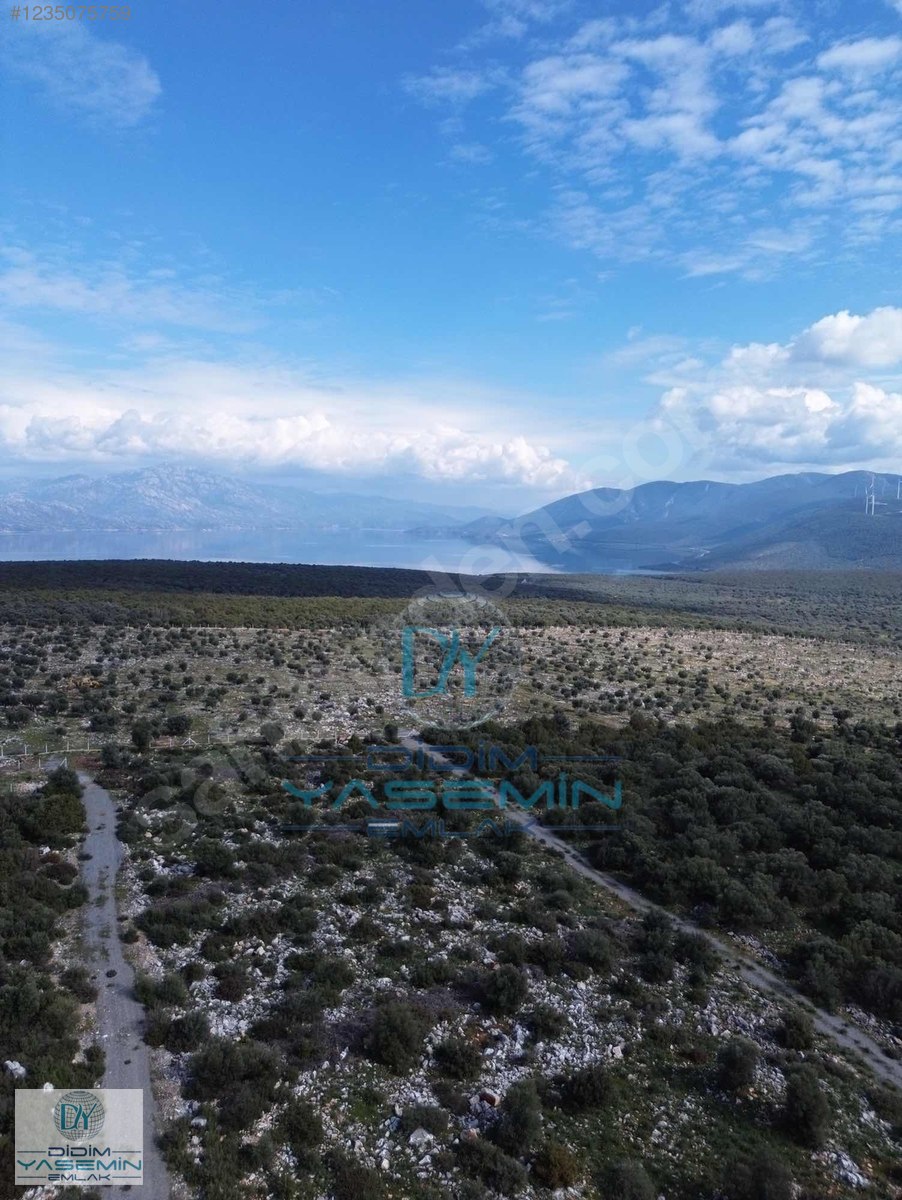 BAFA GÖLÜ MANZARALI SATILIK ARSA - AYDIN DİDİM fotoğraf 3