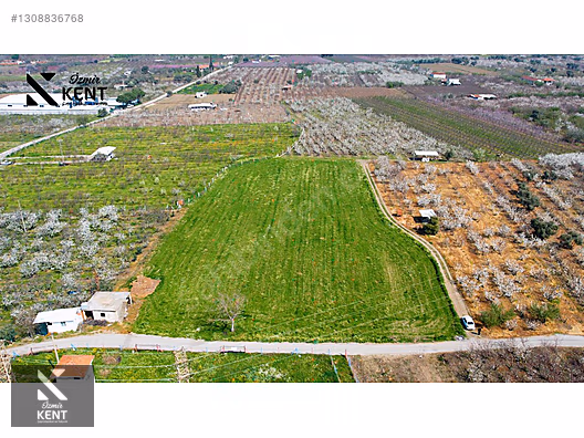 Kemalpaşa Ören 75. Yıl Satılık 8770 m2 Tek Tapu Tarla - İZMİR KEMALPAŞA fotoğraf 21