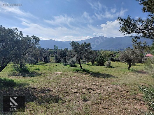 Kemalpaşa Dereköy'de Satılık 4850 m2 Bahçe - İZMİR KEMALPAŞA fotoğraf 18
