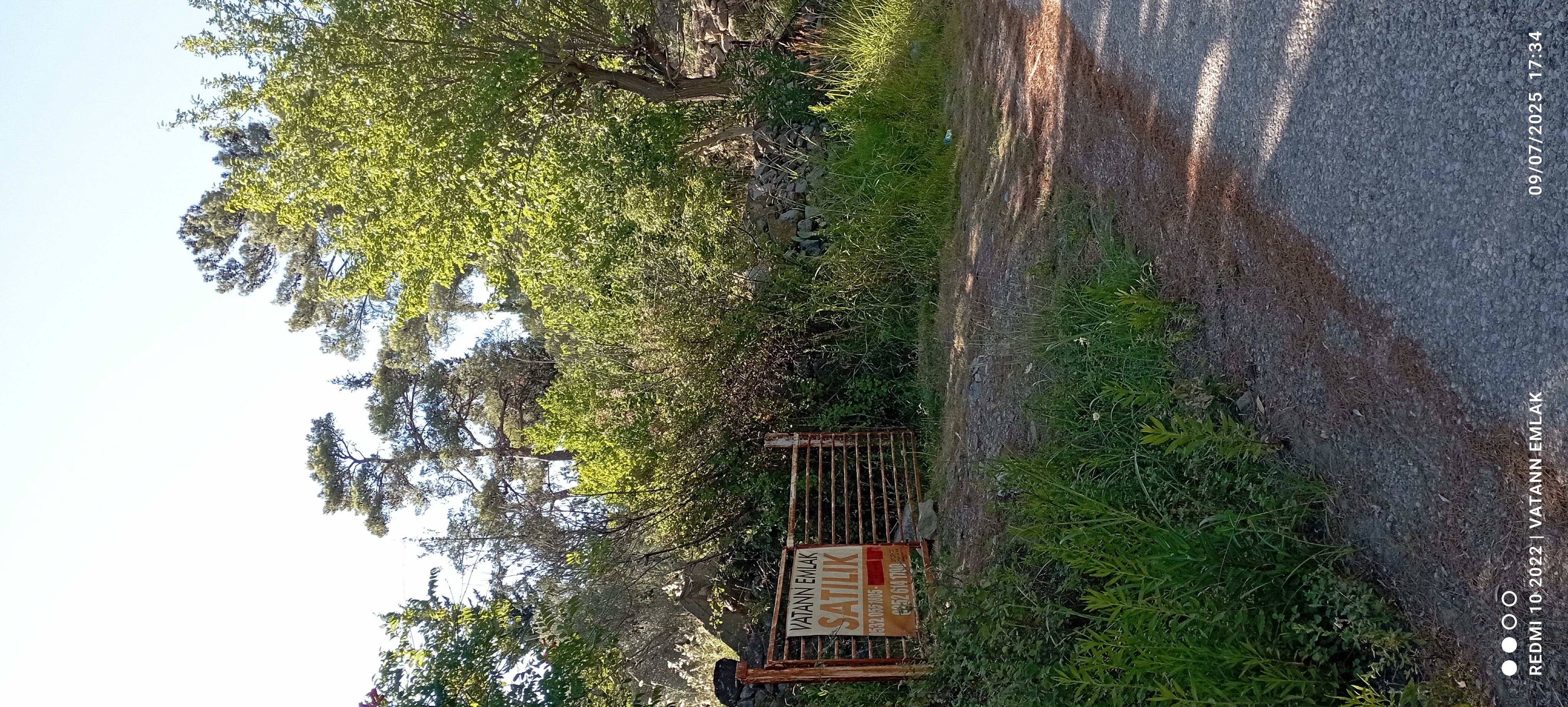 Satılık zeytin bahçesi ve betanerme tapuya kayıtlı ev - MUĞLA SEYDİKEMER fotoğraf 4