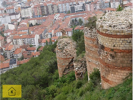 KÜTAHYA ŞAPHANE SUBAŞI KÖYÜNDE 2.217 M² TARLA SATILIKTIR - KÜTAHYA ŞAPHANE fotoğraf 10