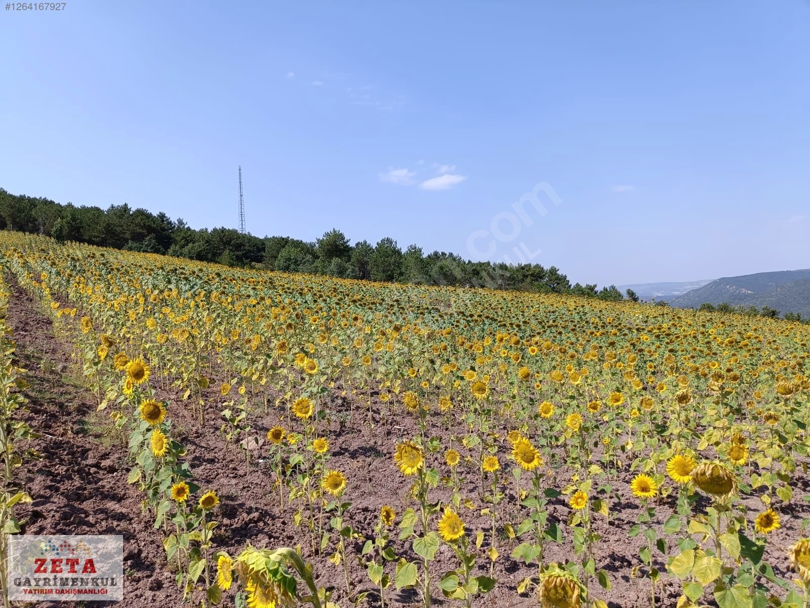 Bilecik Karaahmetler'de Yatırımlık 23.460 m² Satılık Tarla - BİLECİK GÖLPAZARI fotoğraf 2